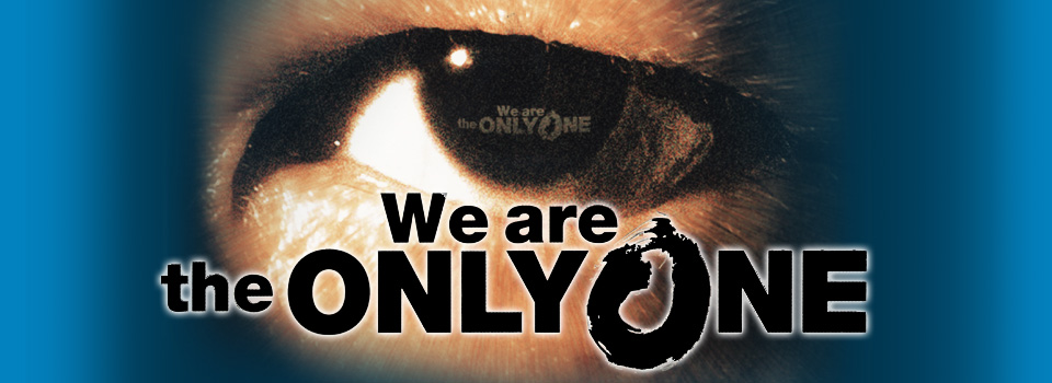 株式会社日本全管 We are the ONLY ONE